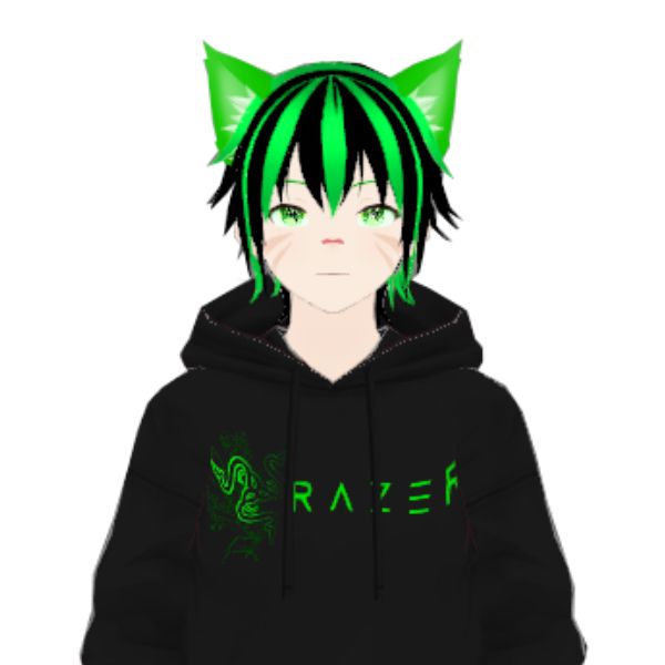 RazerHoodie